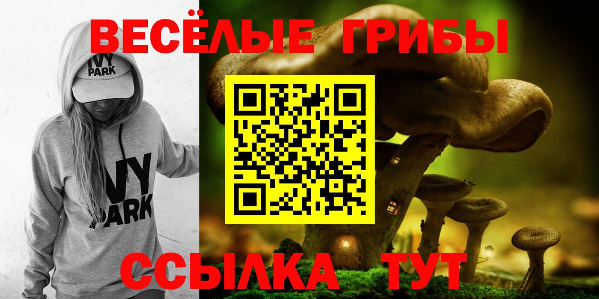 Псилоцибиновые грибы Psilocybe Воскресенск
